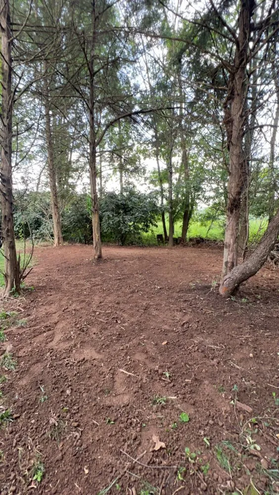 Top-rated landscape design in Ambler, PA - Morales Landscaping