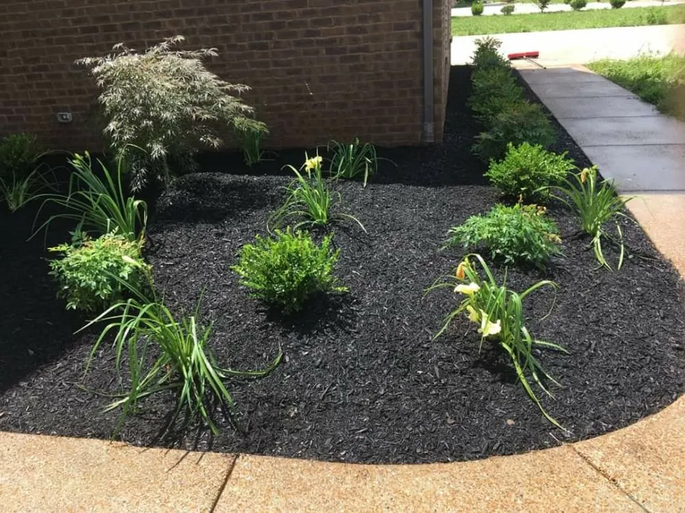 Custom landscaping services in Manchester, TN - Morales Landscaping and Concrete