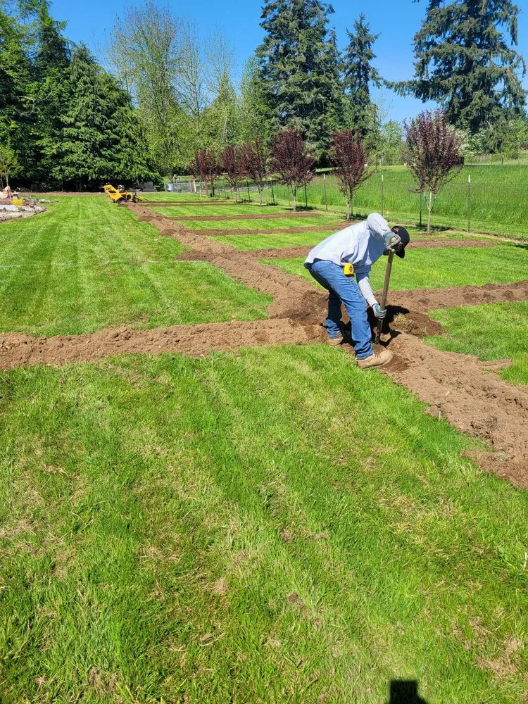 Trusted landscape design experts serving Centralia, WA - Morales Landscaping