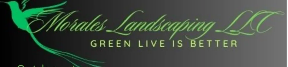 Trusted yard cleanup service in Hebron, MD - Morales Landscaping