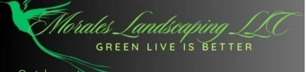 Morales Landscaping