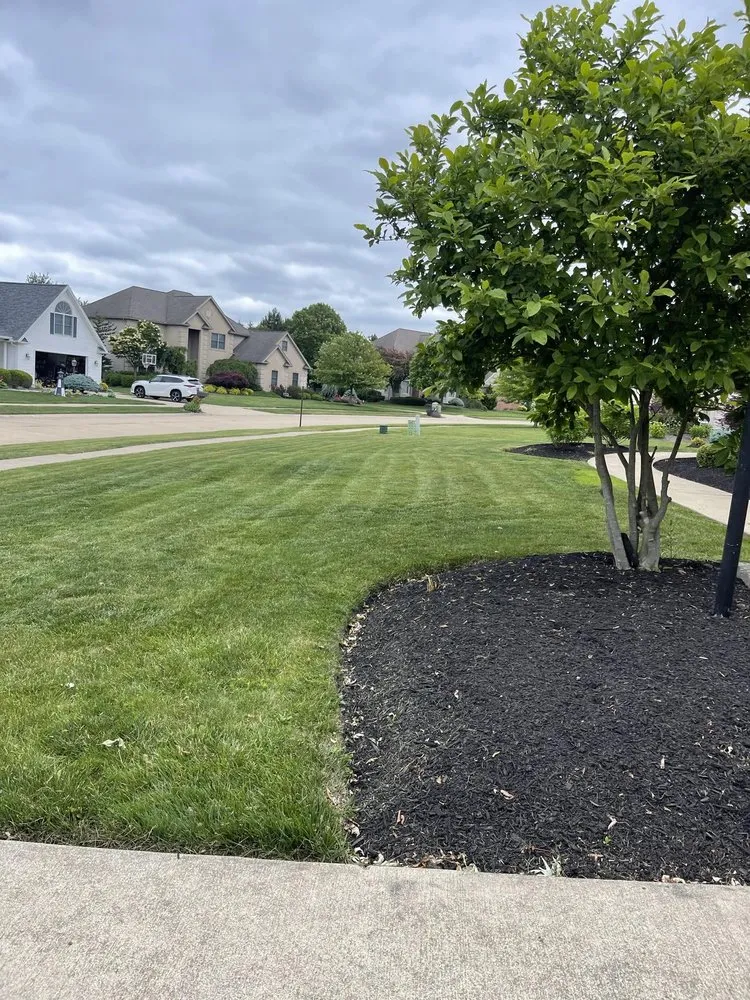 Top-rated residential landscaping experts serving Norwalk, OH - Morales Landscaping