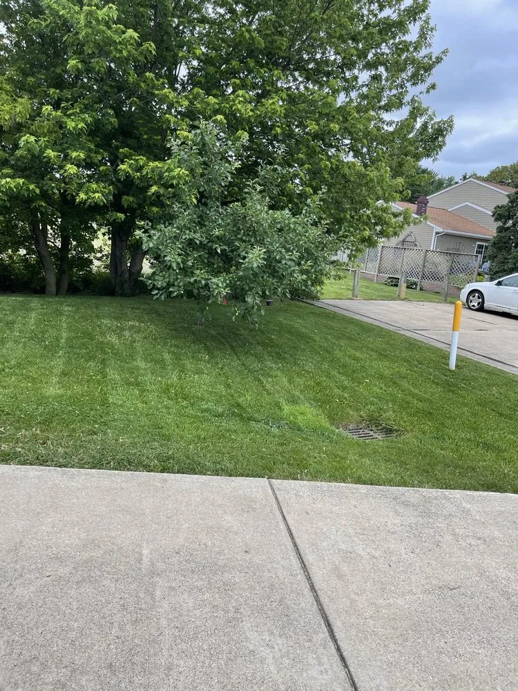 Reliable landscape installation experts serving Norwalk, OH - Morales Landscaping