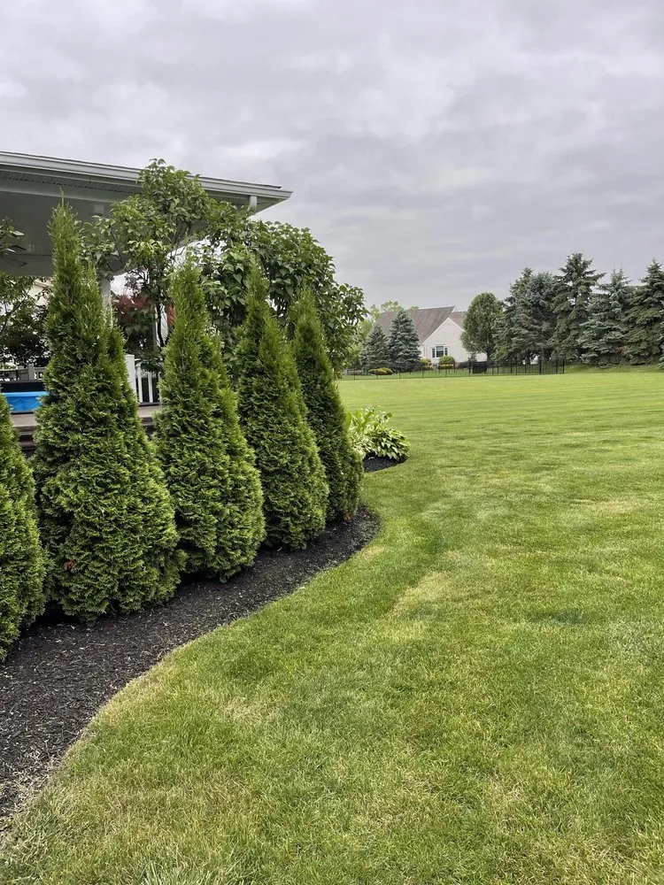 Professional landscape installation in Norwalk, OH by Morales Landscaping