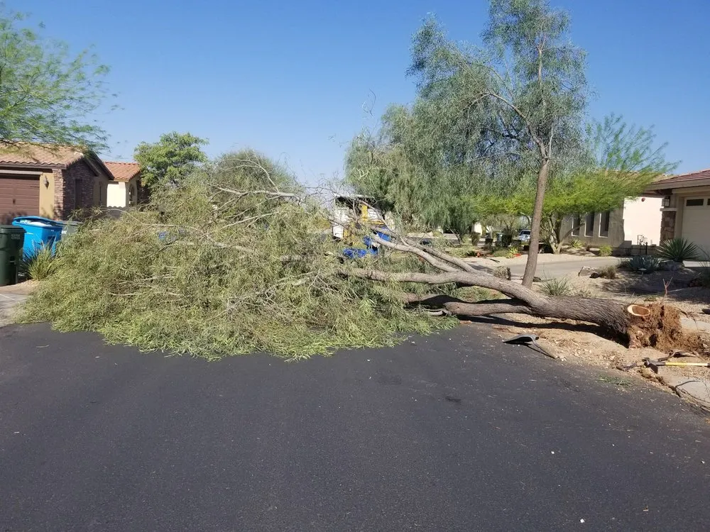 Reliable residential landscaping in Phoenix, AZ - Morales Landscaping