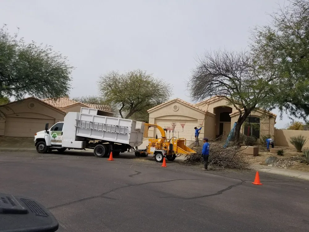 Trusted landscaping services with custom design in Phoenix, AZ by Morales Landscaping