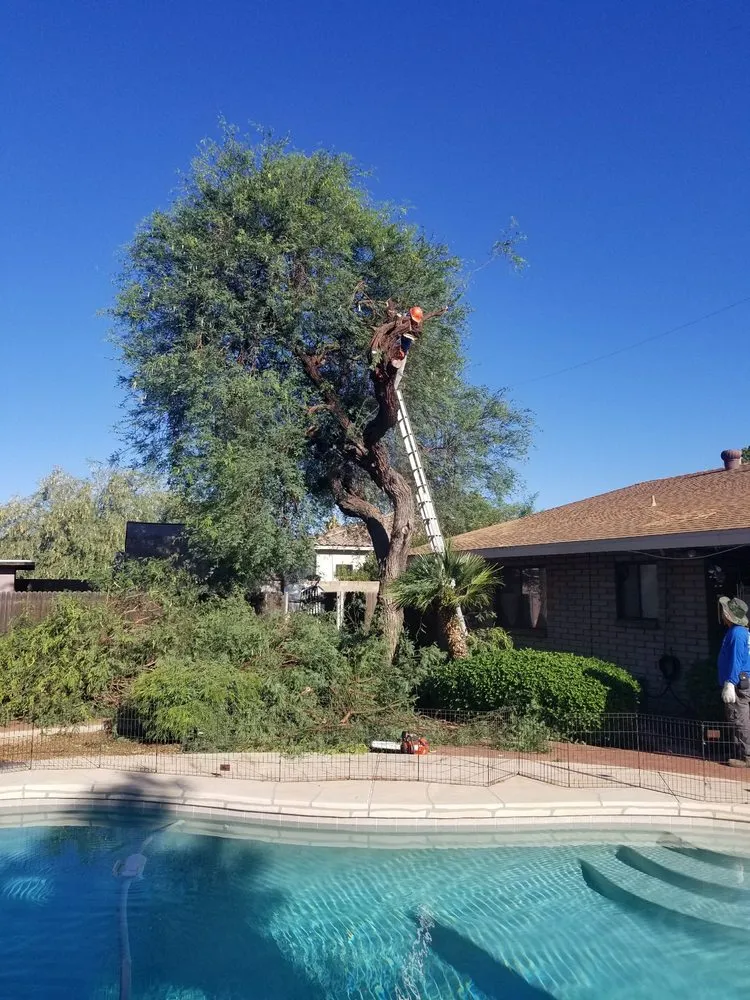 Professional landscaping services experts serving Phoenix, AZ - Morales Landscaping