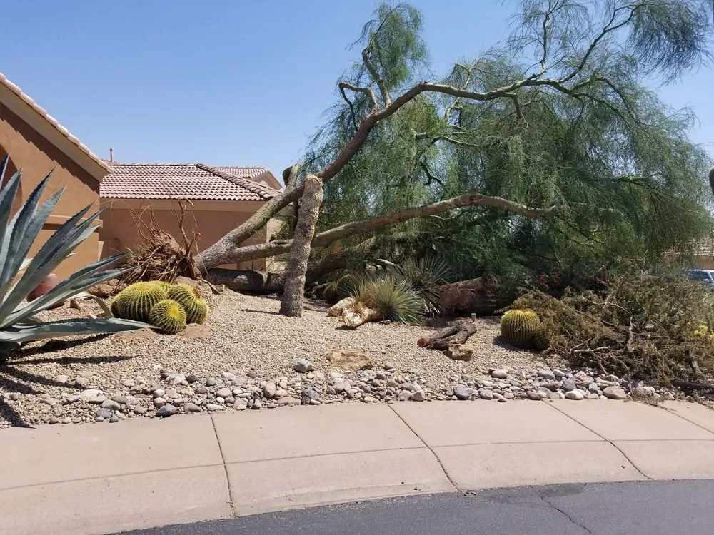 Custom lawn mowing service in Phoenix, AZ - Morales Landscaping