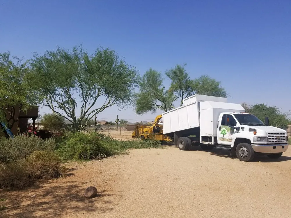 Professional outdoor landscaping experts serving Phoenix, AZ - Morales Landscaping