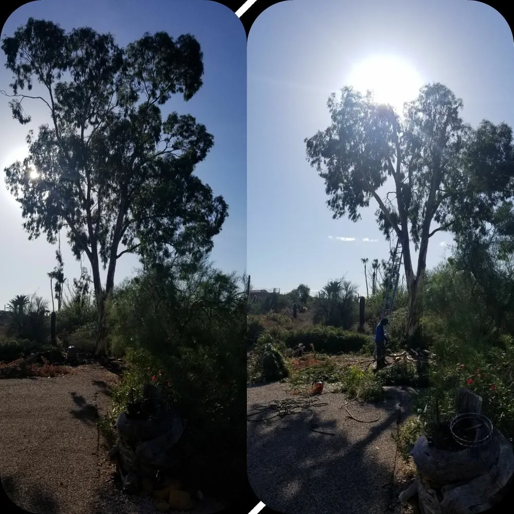 Reliable landscape installation experts serving Phoenix, AZ - Morales Landscaping