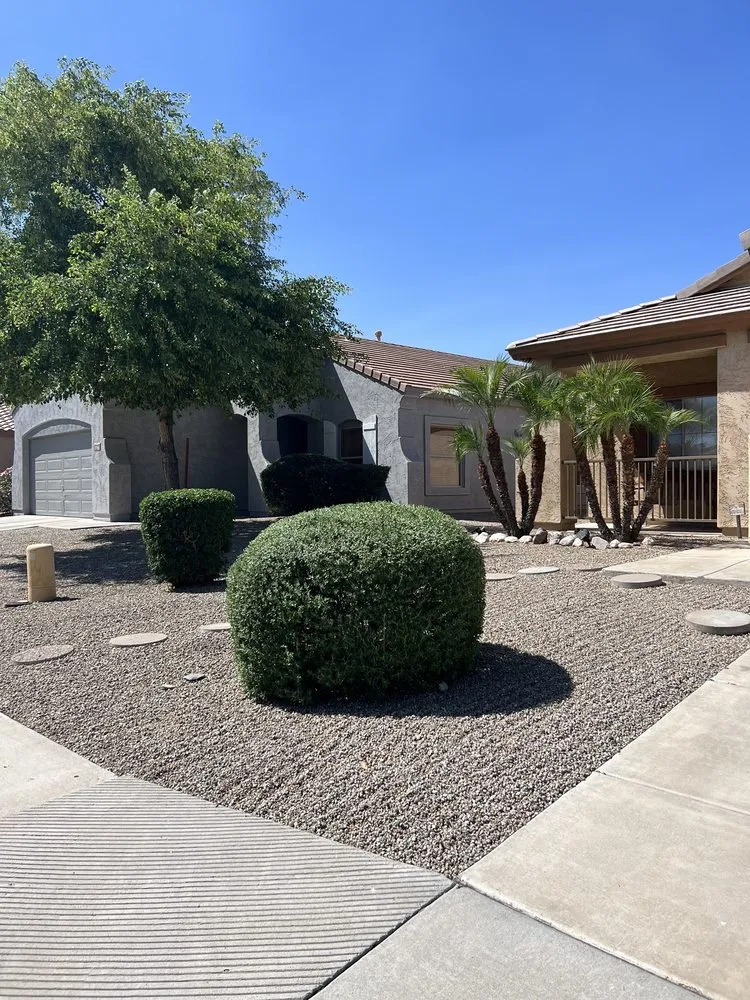 Professional landscaping services in Phoenix, AZ - Morales Landscaping