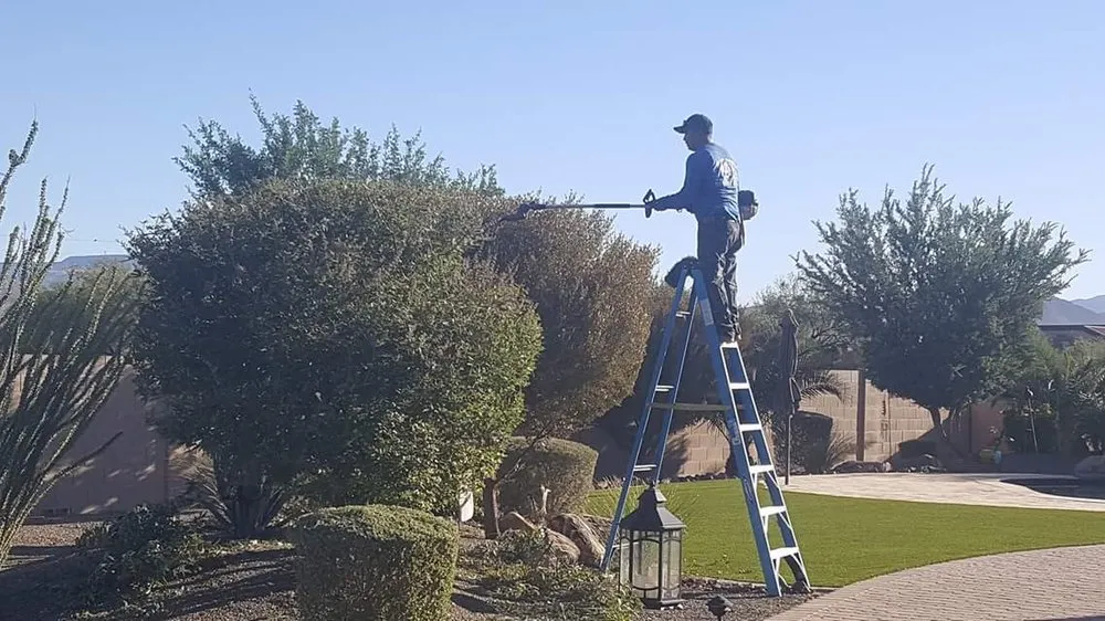 Top-rated yard maintenance in Phoenix, AZ - Morales Landscaping