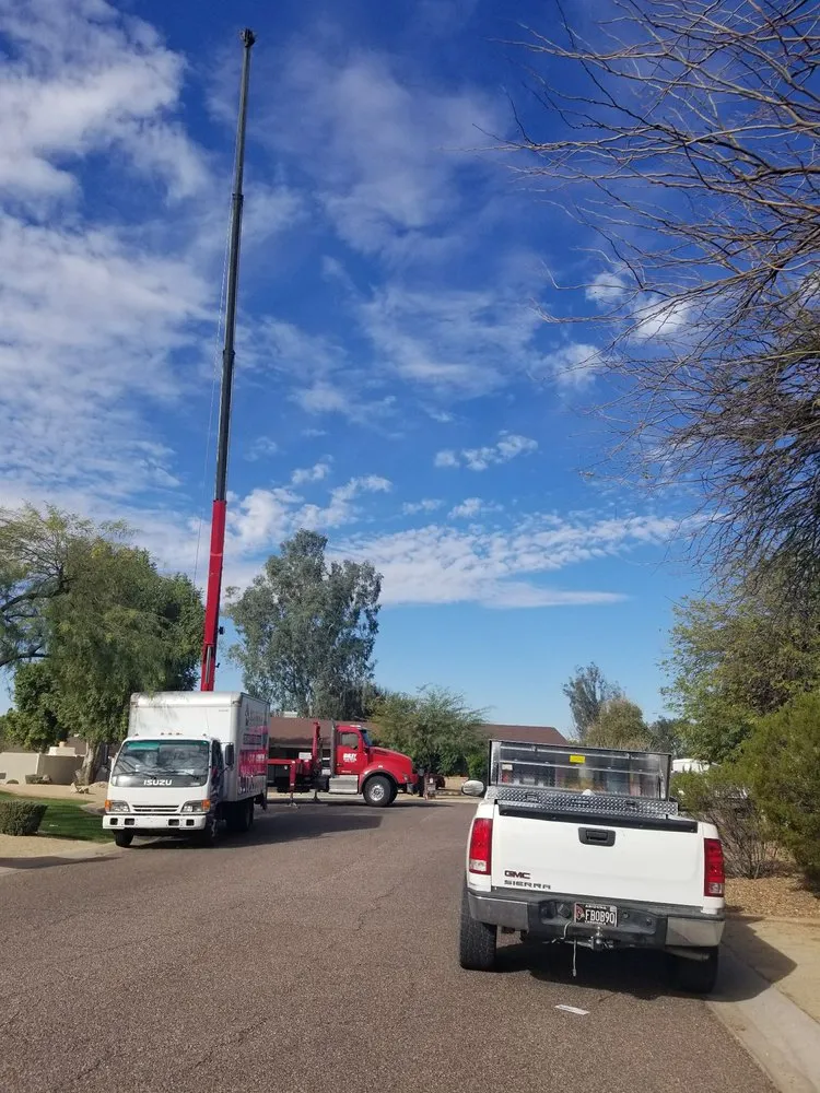 Trusted landscape design for beautiful yards in Phoenix, AZ by Morales Landscaping