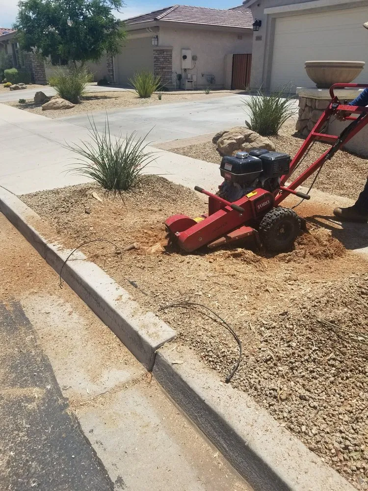 Top-rated outdoor landscaping for homes across Phoenix, AZ - Morales Landscaping