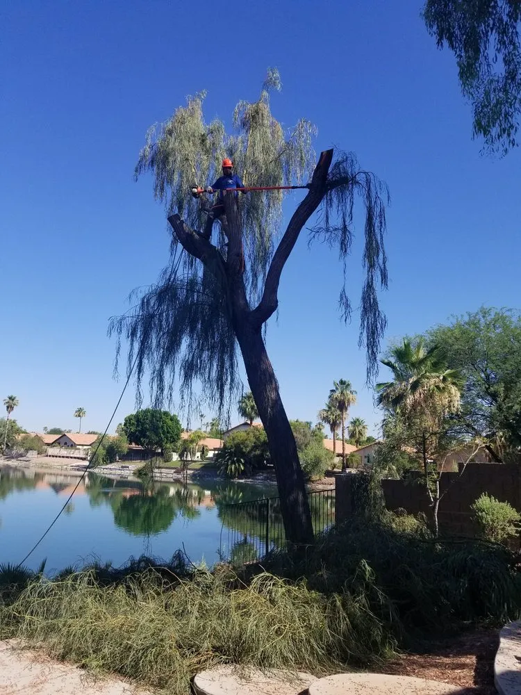 Top-rated garden landscaping with custom design across Phoenix, AZ - Morales Landscaping