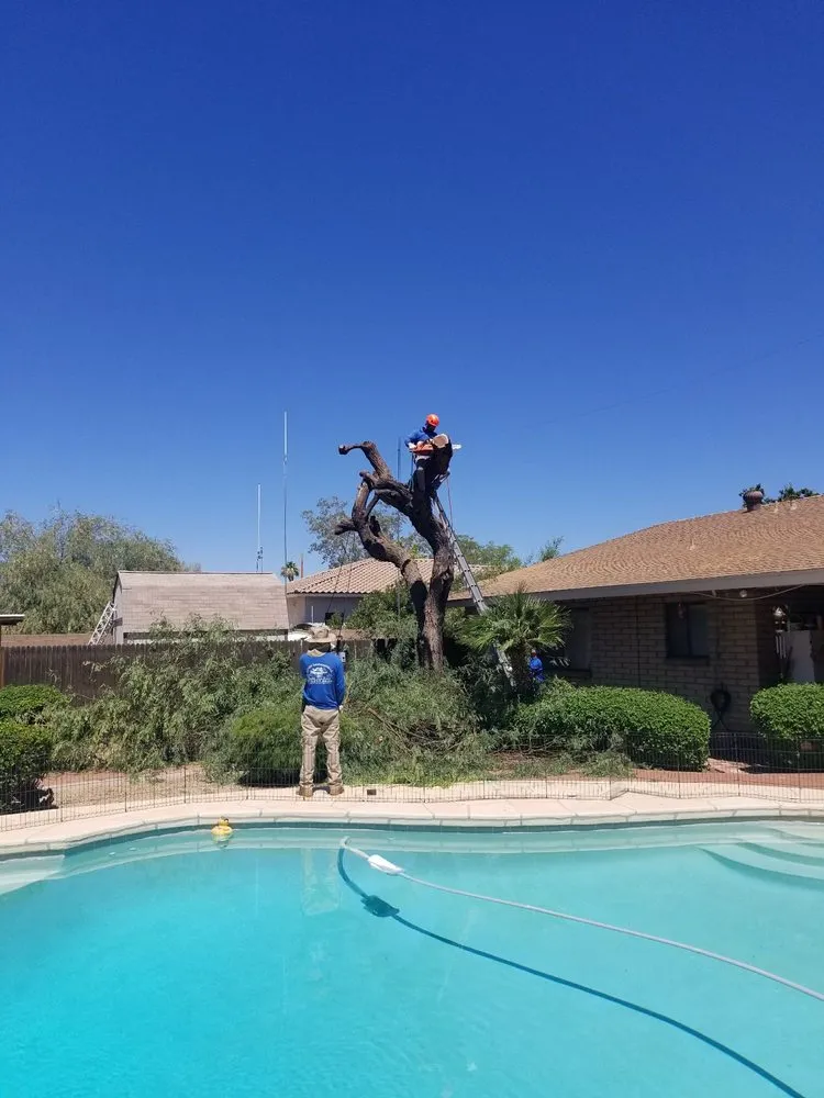 Expert landscape design for beautiful yards in Phoenix, AZ by Morales Landscaping