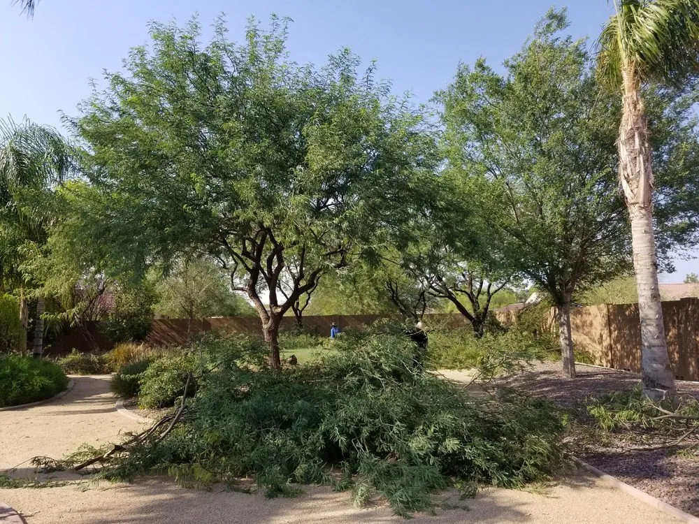 Professional lawn mowing service for outdoor upgrades in Phoenix, AZ by Morales Landscaping