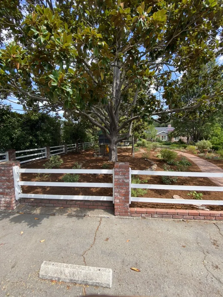 Affordable lawn mowing service for residential properties across Martinez, CA - Morales landscaping premier