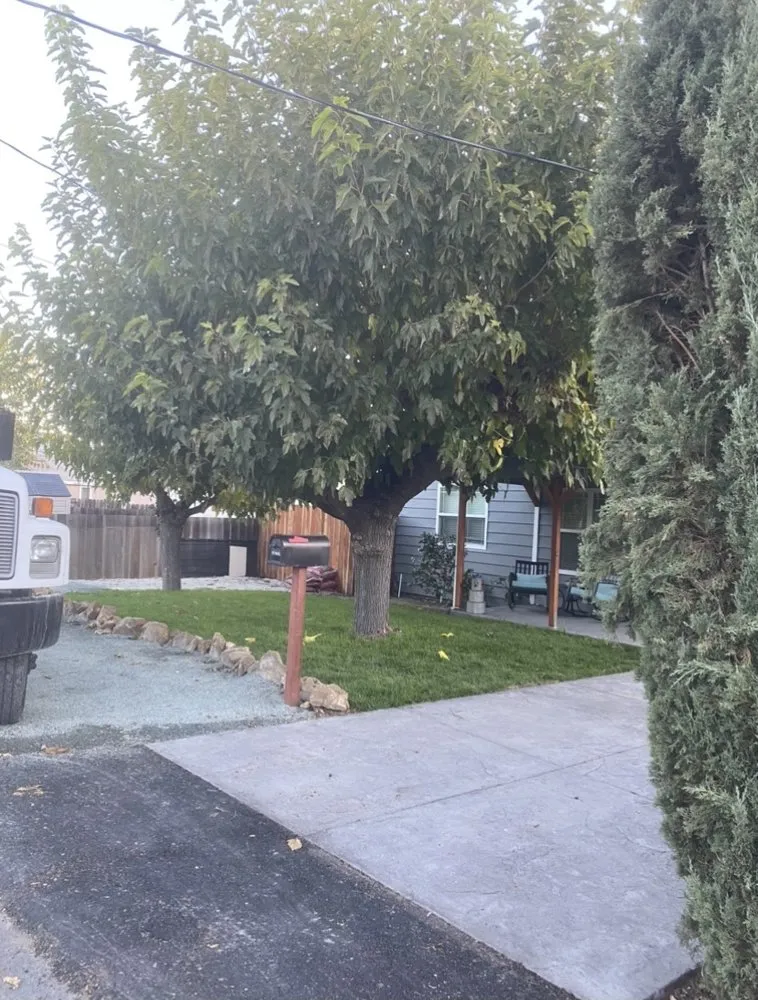 Affordable landscape design for residential properties in Martinez, CA by Morales landscaping premier