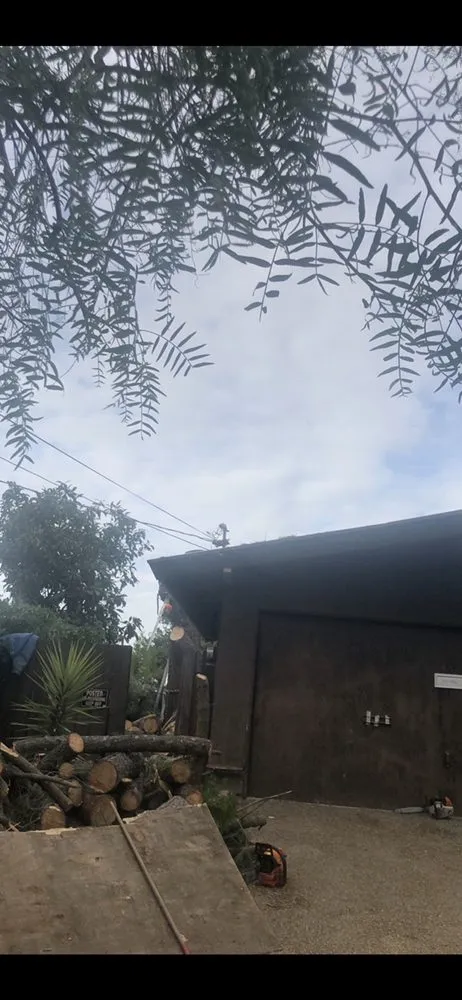 Affordable lawn mowing service for outdoor upgrades in Martinez, CA by Morales landscaping premier