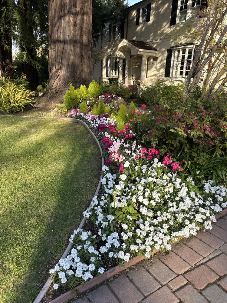 Custom garden landscaping in San Mateo, CA by Morales Landscaping