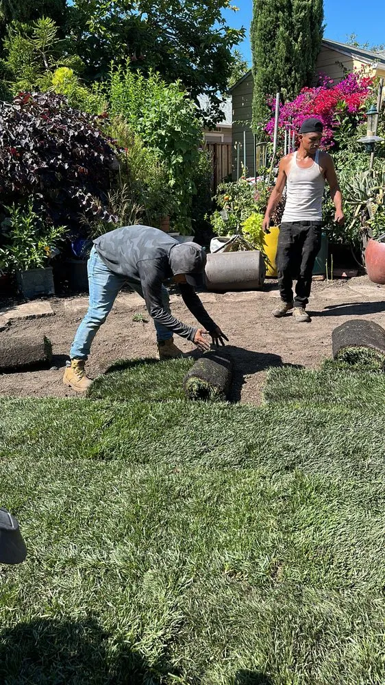 Local lawn mowing service experts serving San Mateo, CA - Morales Landscaping