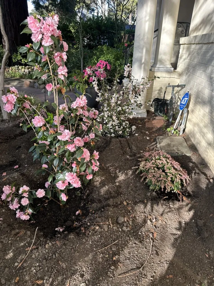 Professional landscape design in San Mateo, CA by Morales Landscaping