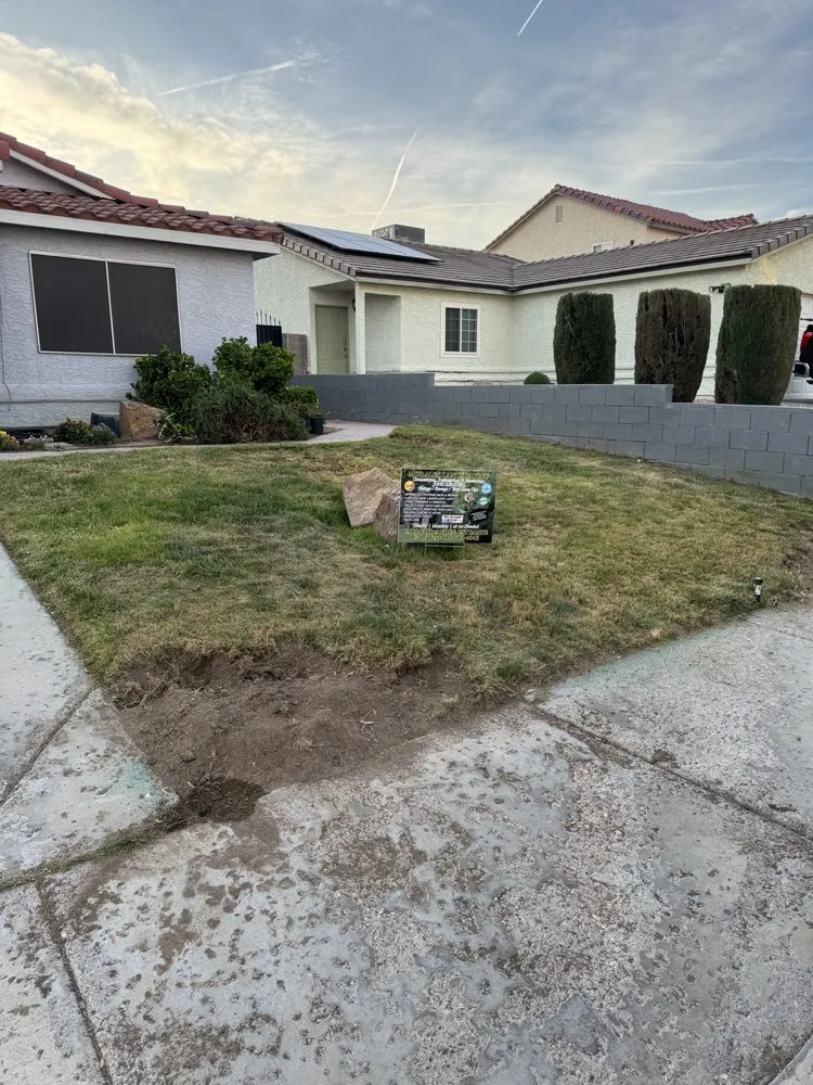 Professional landscape installation in Henderson, NV by Morales Landscaping Services