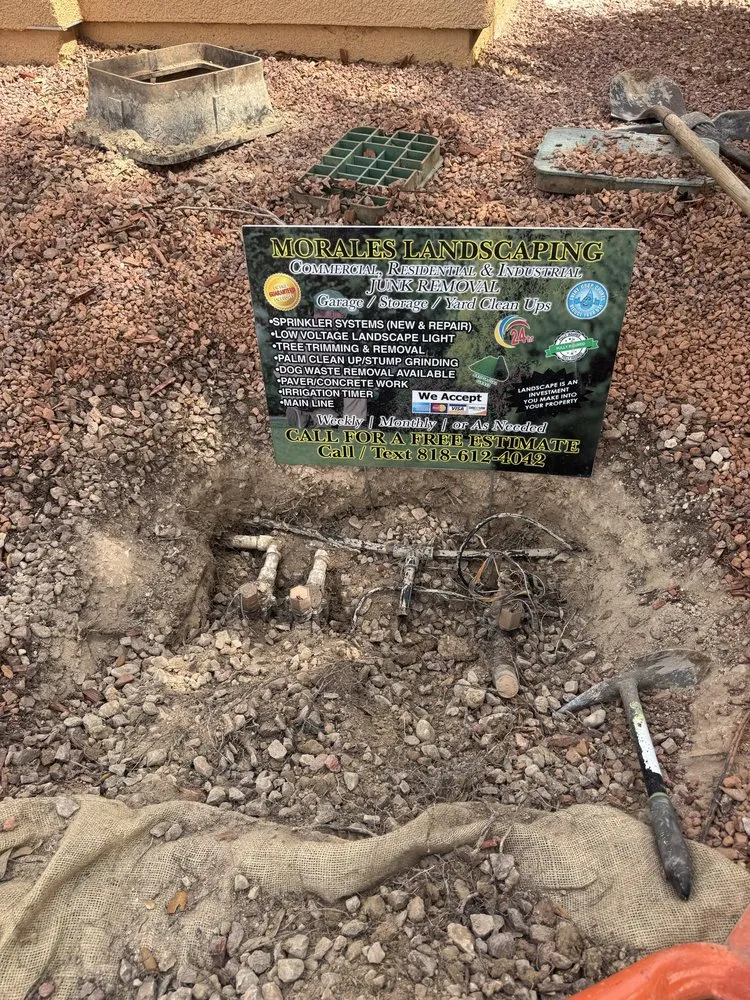 Reliable outdoor landscaping in Henderson, NV by Morales Landscaping Services