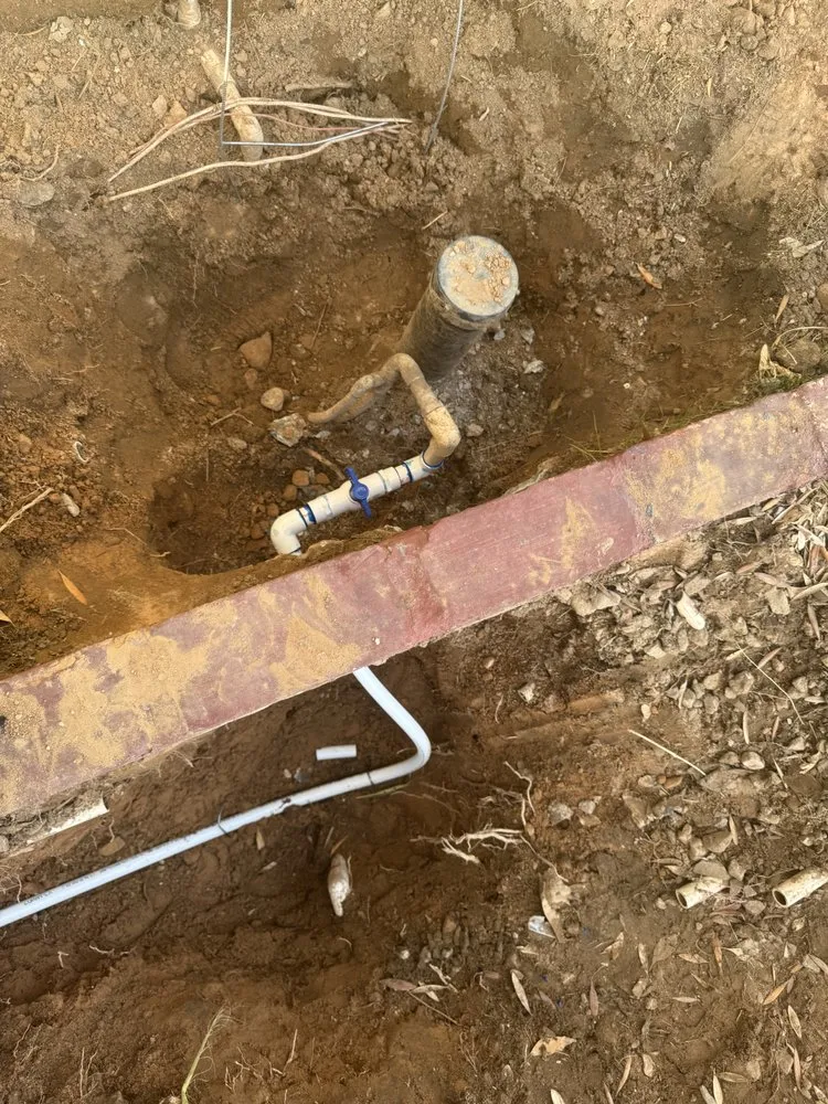 Professional landscape installation for year-round maintenance in Henderson, NV by Morales Landscaping Services