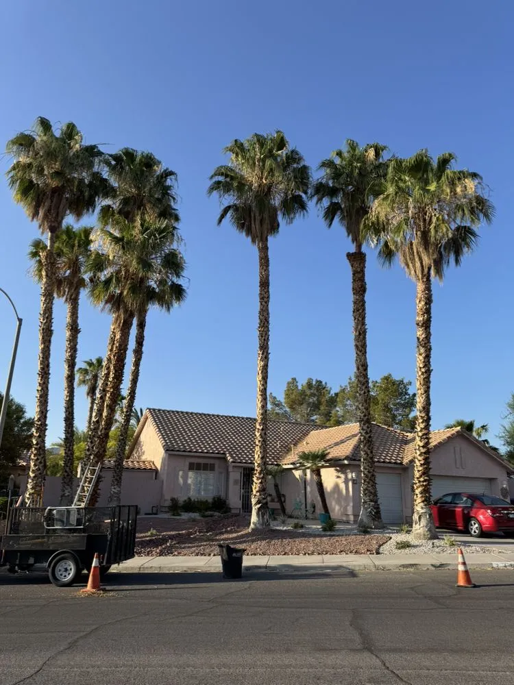 Top-rated landscaping services for year-round maintenance in Henderson, NV by Morales Landscaping Services