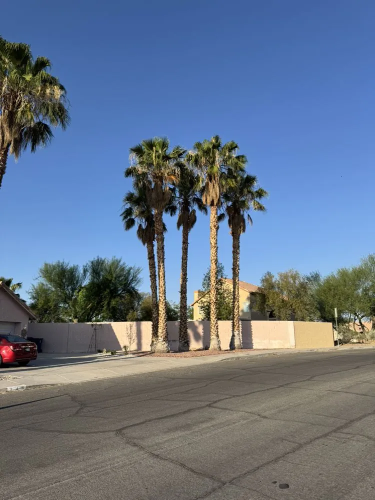 Professional lawn mowing service in Henderson, NV by Morales Landscaping Services