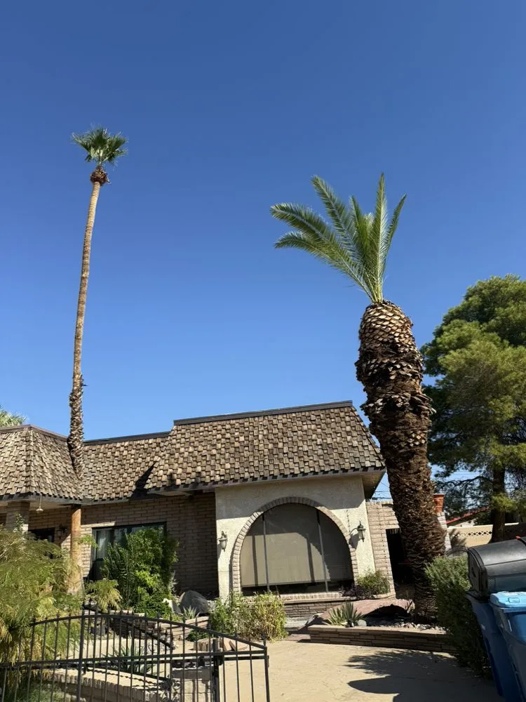 Local garden landscaping for outdoor upgrades across Henderson, NV - Morales Landscaping Services