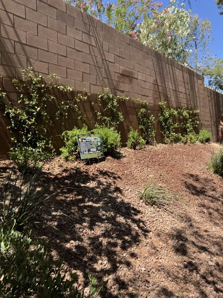 Expert lawn mowing service for homes in Henderson, NV by Morales Landscaping Services