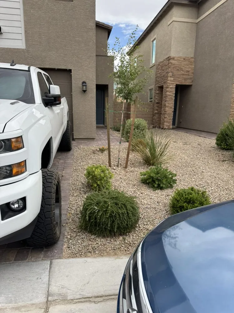 Local residential landscaping experts serving Henderson, NV - Morales Landscaping Services