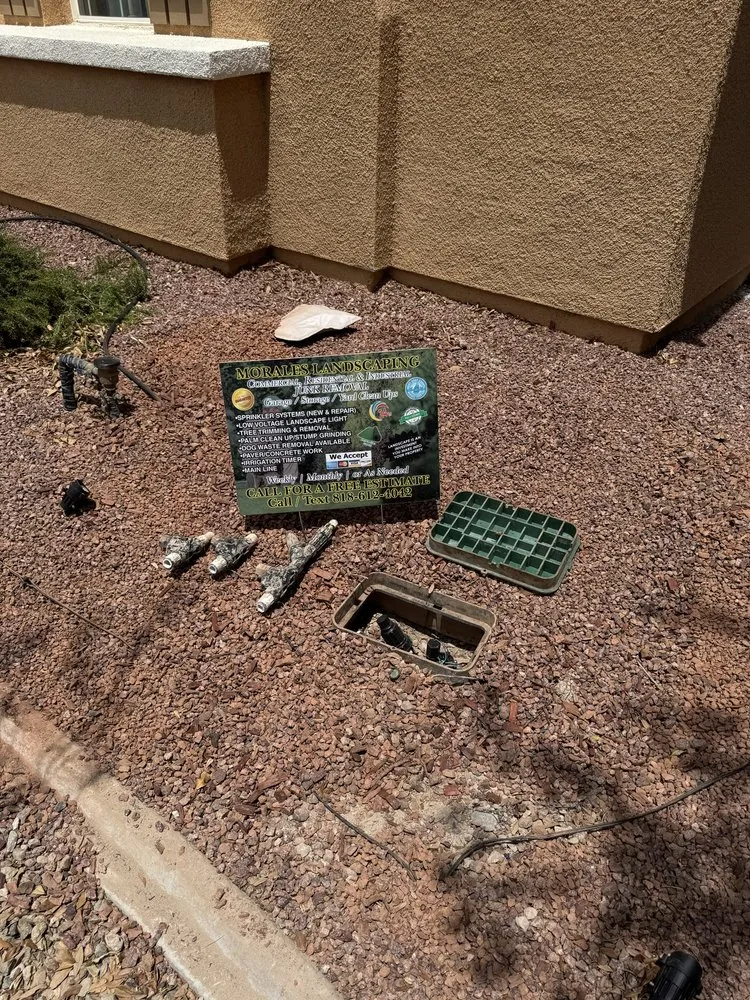 Expert yard cleanup service in Henderson, NV by Morales Landscaping Services