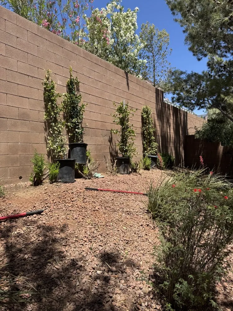 Reliable landscaping services for residential properties across Henderson, NV - Morales Landscaping Services