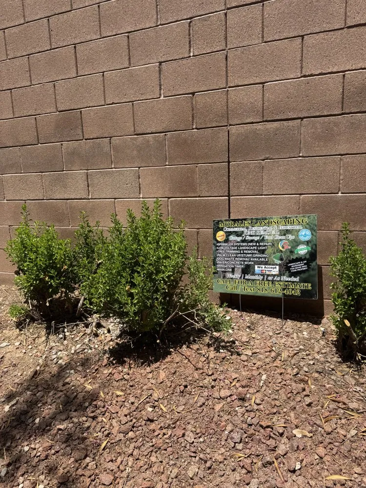 Expert landscape design for year-round maintenance across Henderson, NV - Morales Landscaping Services