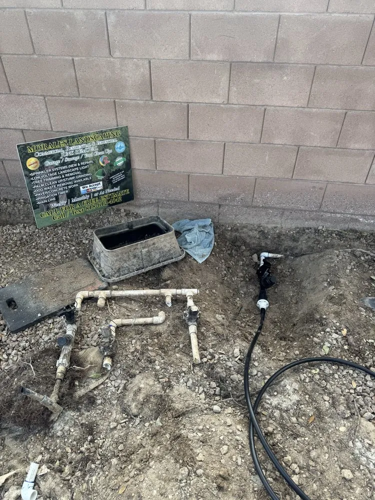 Affordable landscape design near you across Henderson, NV - Morales Landscaping Services