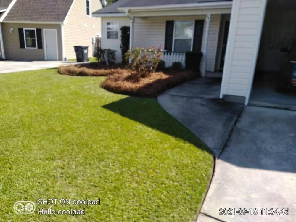 Affordable lawn care service for beautiful yards in Summerville, SC by Morales Landscaping