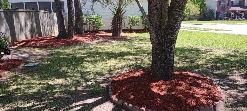 Expert landscape design in Summerville, SC by Morales Landscaping