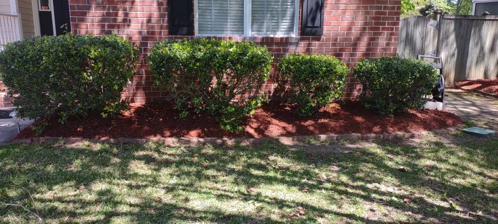 Trusted landscape installation experts serving Summerville, SC - Morales Landscaping