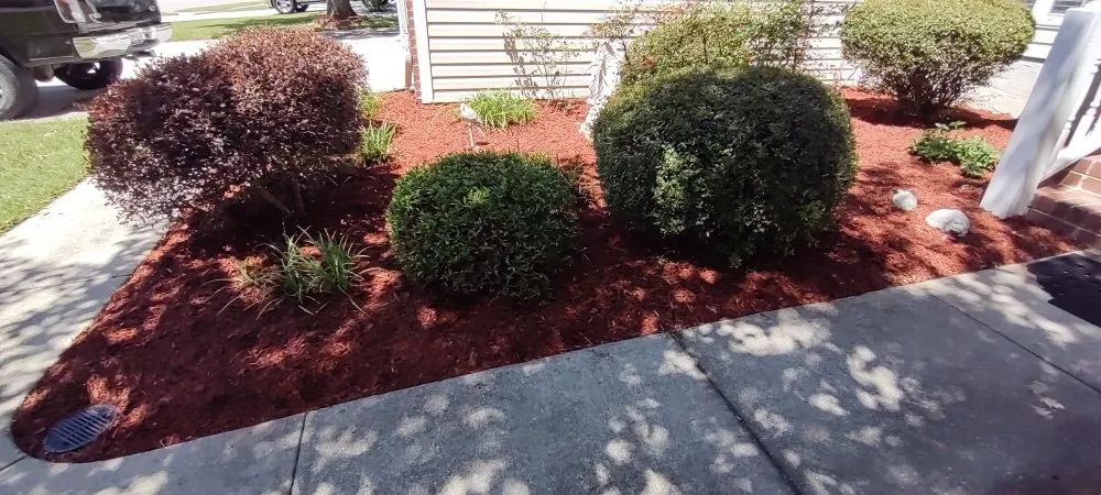 Affordable outdoor landscaping for homes across Summerville, SC - Morales Landscaping