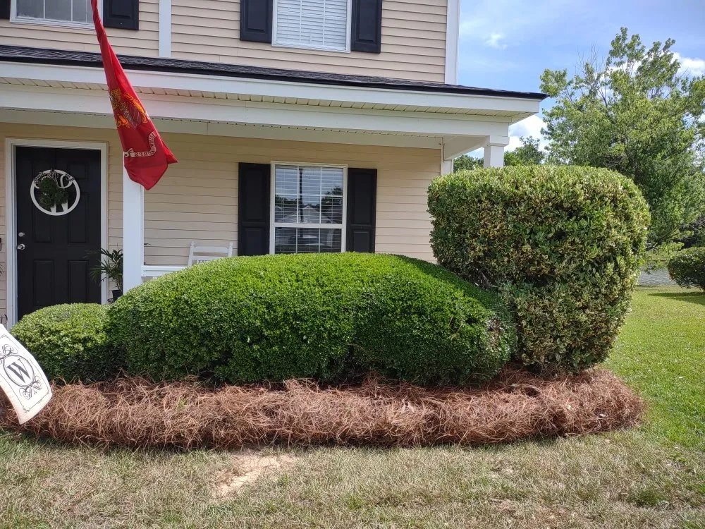 Custom outdoor landscaping in Summerville, SC by Morales Landscaping