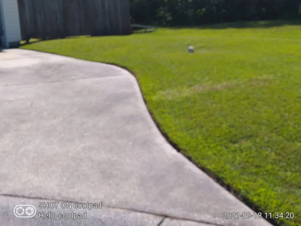 Trusted lawn care service in Summerville, SC by Morales Landscaping