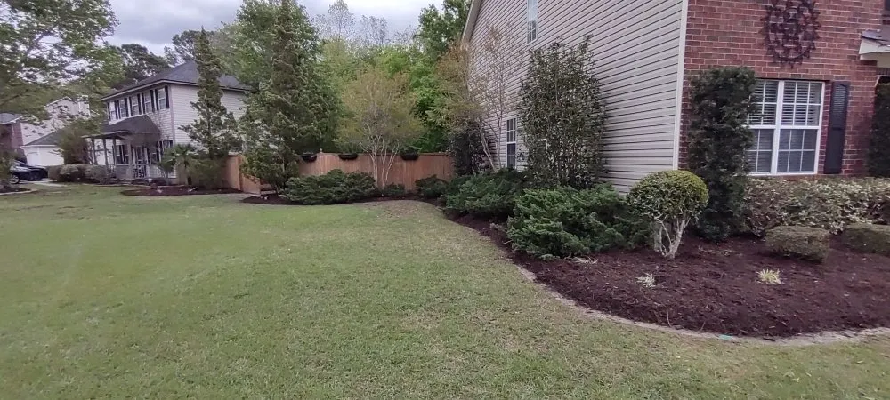 Top-rated landscaping services in Summerville, SC - Morales Landscaping