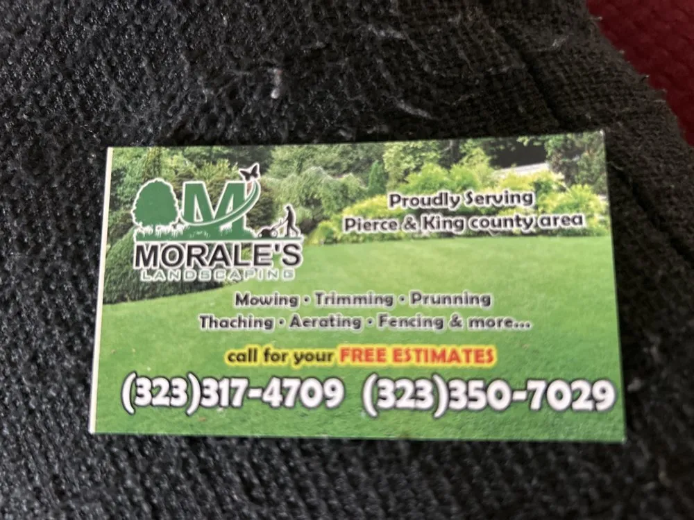 Reliable yard cleanup service in Tacoma, WA by Morales Landscaping