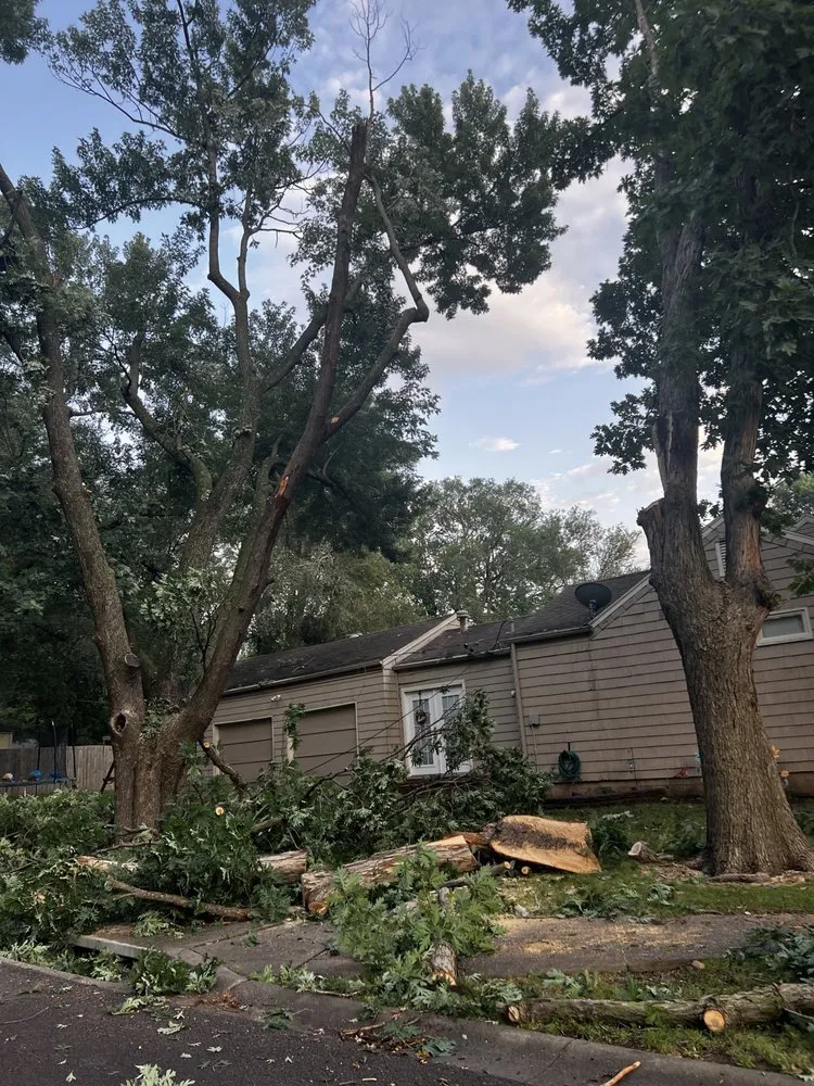 Professional lawn mowing service near you in Belton, MO by Morales Lawn and Landscape