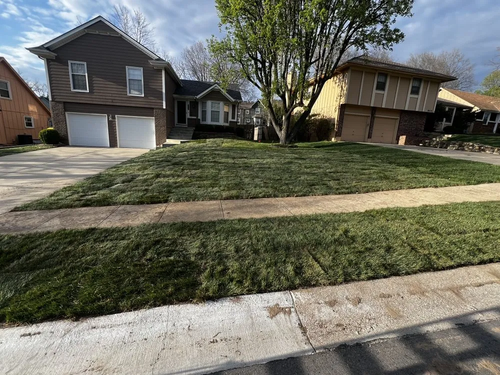 Top-rated lawn mowing service in Belton, MO by Morales Lawn and Landscape