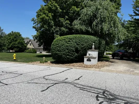 Morales Lawn and Landscape